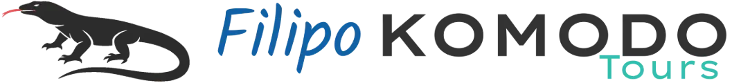 Filipo Komodo Tours